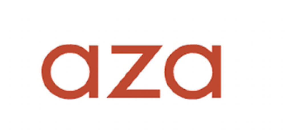 aza fashion logo