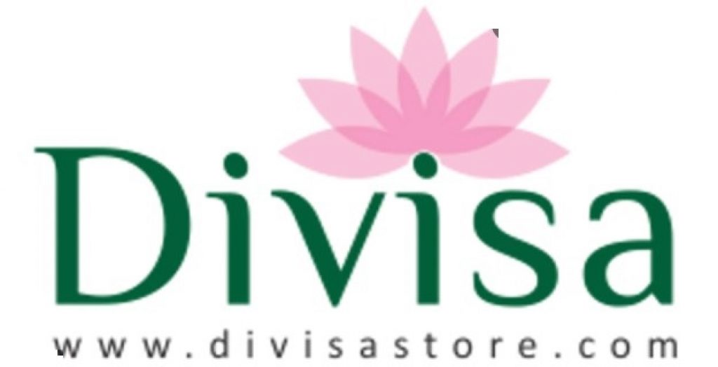 Divisa Store Logo