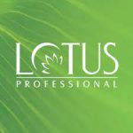 lotus-professional logo