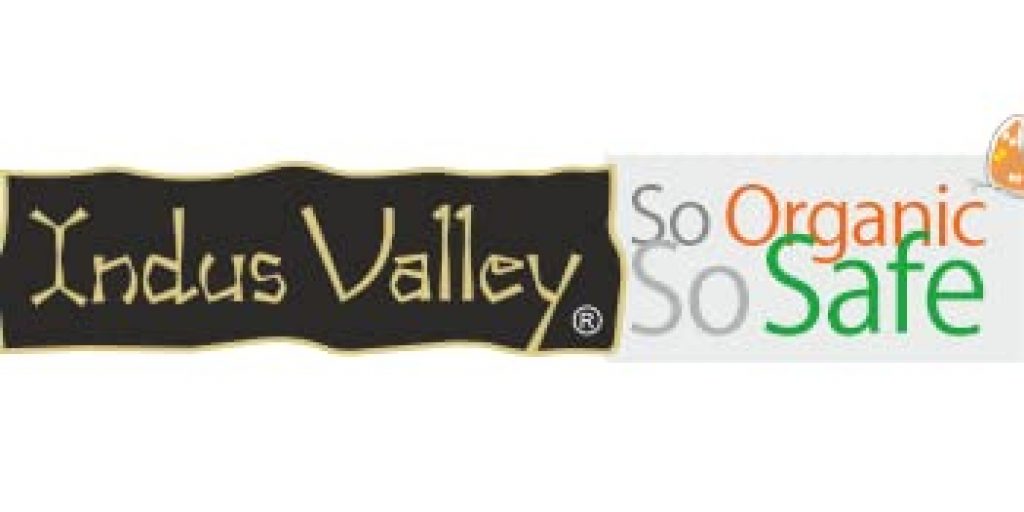 Buy Valley Logo