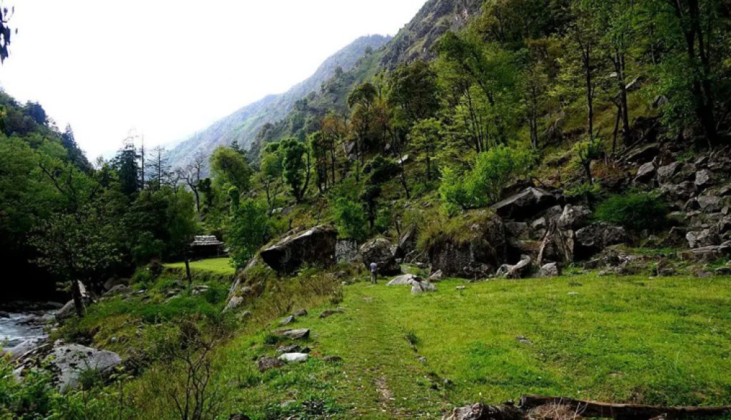 Dudhwa National Park, Uttarakhand