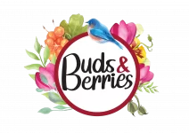 Buds and Berries Logo