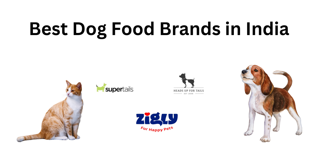 Best-Dog-Food-Brands-in-India