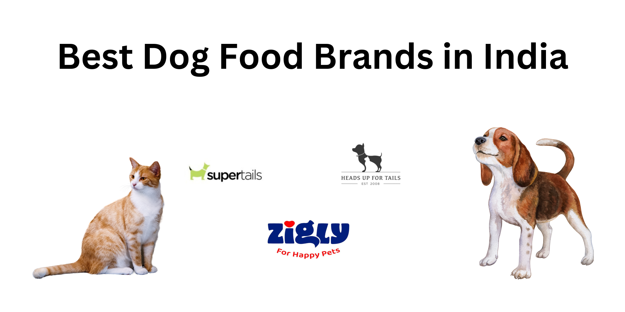 best-dog-food-brands-in-india