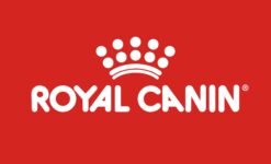 Royal Canin Deals and Discount - sastaoffer.in
