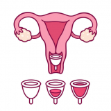 Menstrual Cup: Feminine Hygiene Products and Brands