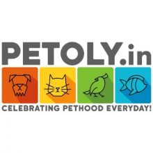 Get Up to 50% OFF on Your Order