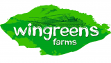Wingreens – Up to 20% Extra Off on Your Order