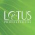 Lotus Professional Get Flat 20% Off On All Skincare Products